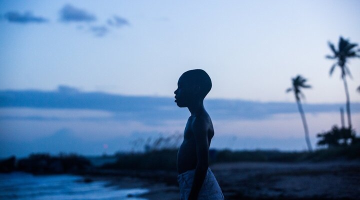 Muazzam Bir Video: 2016’nın En İyi 25 Filmi!