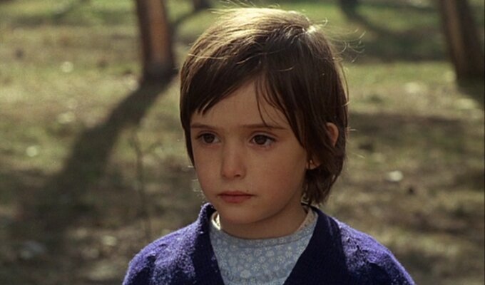 the-spirit-of-beehive-filmloverss