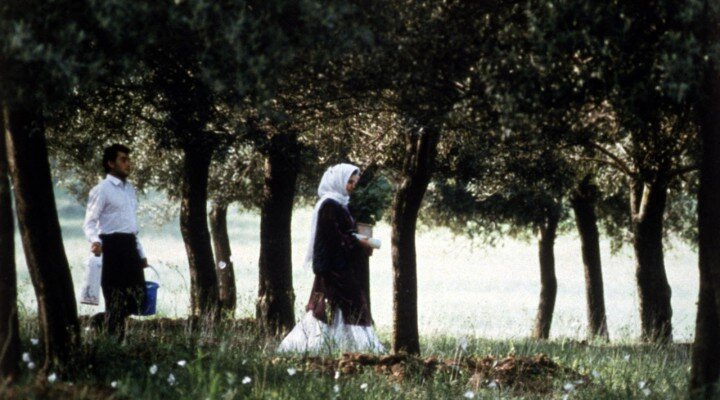 Zeytin Ağaçları Altında – Zire Darakhatan Zeyton