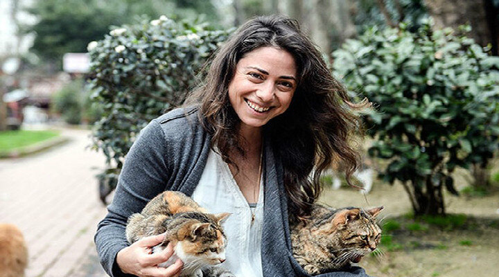 Ceyda Torun’un Kedi Belgeseli Amerika’da Gösterime Girecek