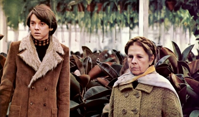 harold-maude-filmloverss