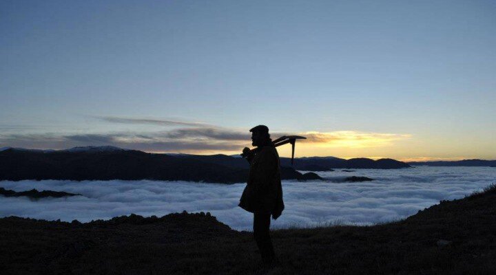 Kalandar Soğuğu’nun Oscar Aday Adayı Seçilmesini Sinema Yazarlarına Sorduk