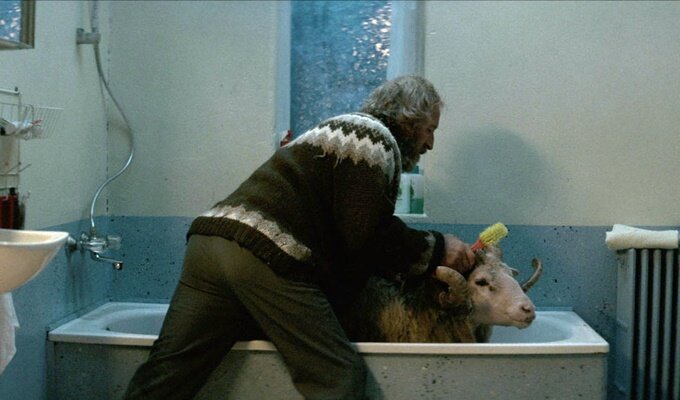 rams-filmloverss