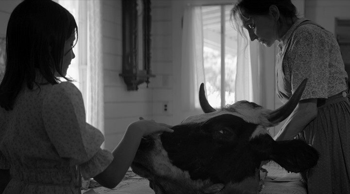 The Eyes Of My Mother Filminden Gerilim Dolu Yeni Fragman Yayınlandı!