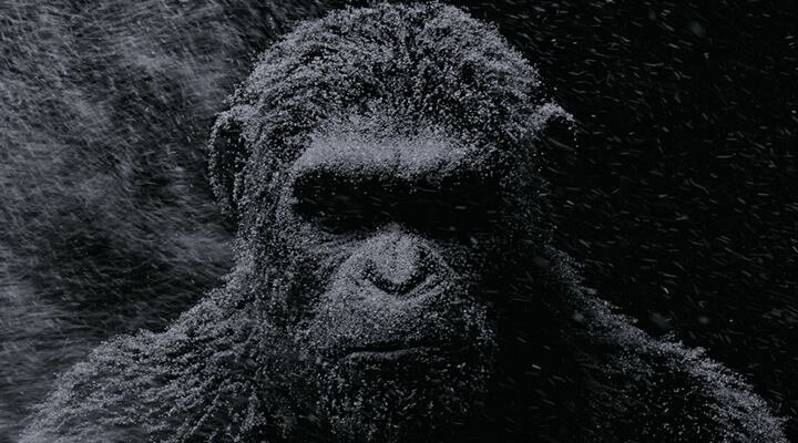 War For The Planet Of The Apes’ten Fragman Yayınlandı
