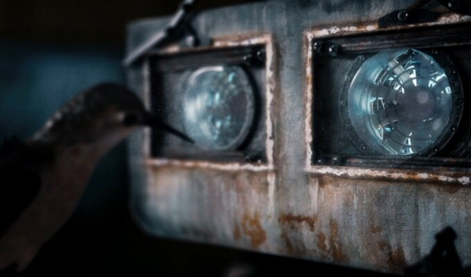 hum-filmloverss-1
