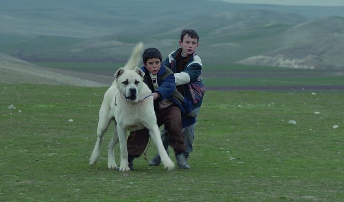 sivas_filmloverss