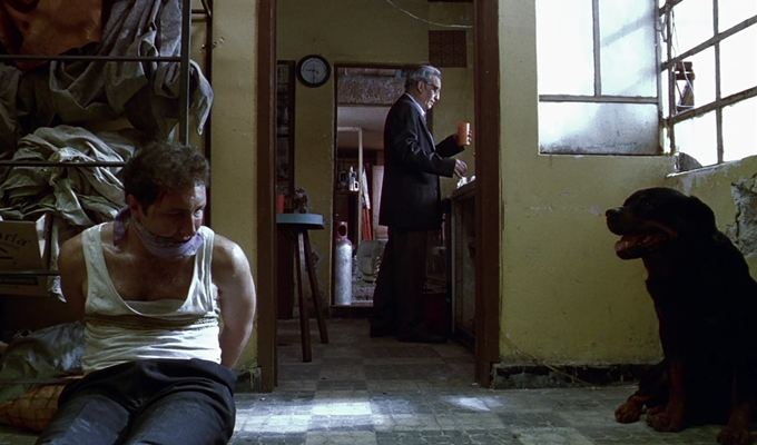 amores_perros_filmloverss