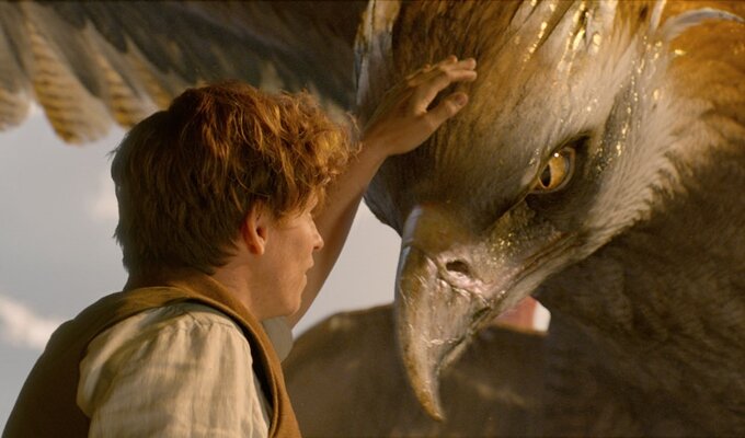 FANTASTIC BEASTS AND WHERE TO FIND THEM