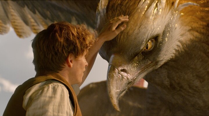 Hafta Sonu Gişe Rakamları: 18 – 20 Kasım 2016