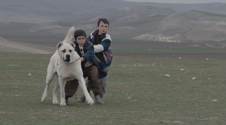 Erişilebilir Sinema Salt Ulus’ta!