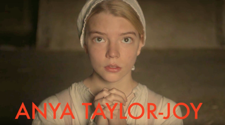 Bir Wes Anderson Filmi: The VVitch!