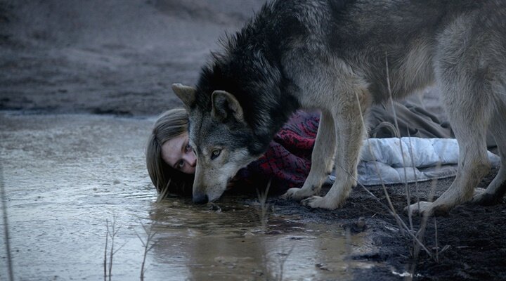 wild-filmloverss