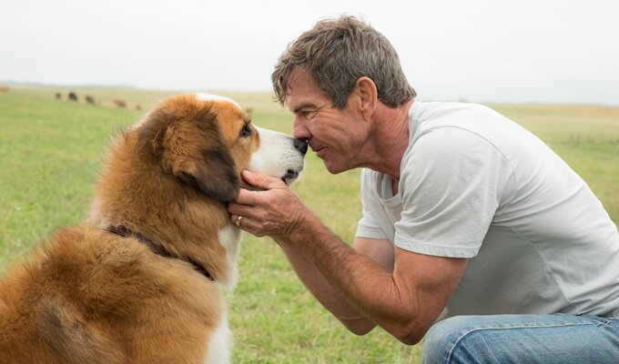 a-dogs-purpose-filmloverss