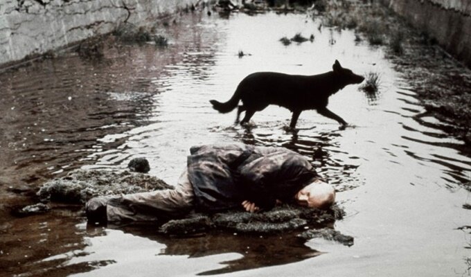 stalker-filmloverss