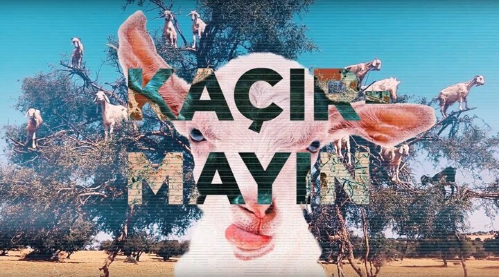 16. !f İstanbul Bağımsız Filmler Festivali’nden Tanıtım Fragmanı Yayınlandı!