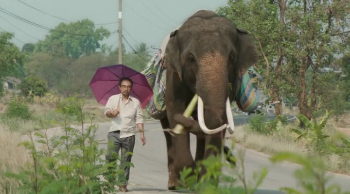 Prömiyerini Sundance Film Festivali’nde Yapacak Pop Aye’ın Fragmanı Yayınlandı!