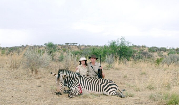 safari-filmloverss