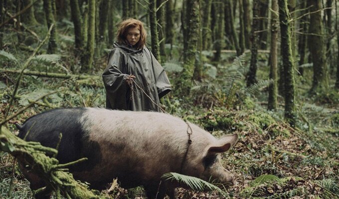 the-lobster-filmloverss