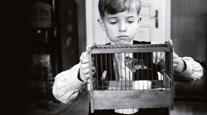 36. İstanbul Film Festivali’nden 15. İstanbul Bienali’ne Özel Bir Seçki: ‘İyi Bir Komşu’