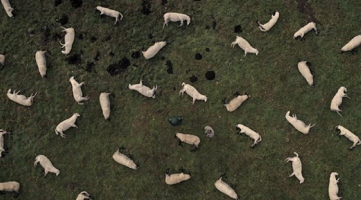 Netflix’in İlk Almanca Dizisi Dark’tan Fragman Yayınlandı!