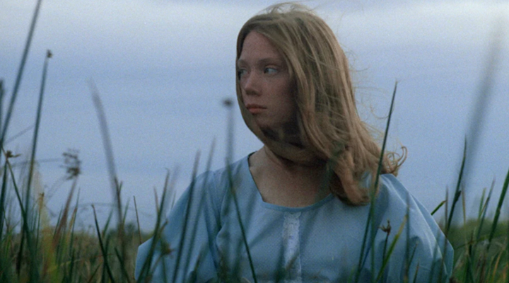 Terrence Malick Sineması ve Vazgeçilmezleri!