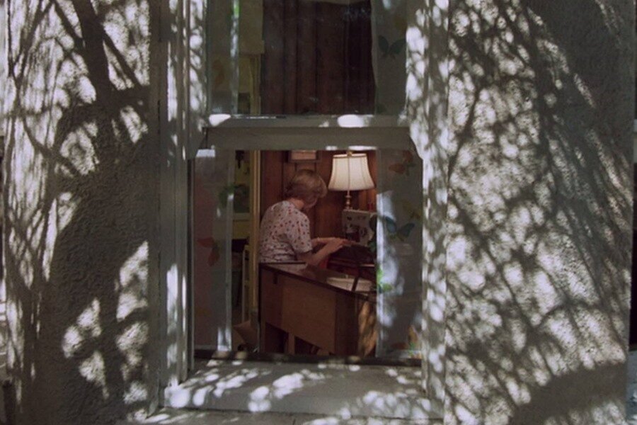 Hollywood Sinemasında Kadın ve Domestik Alanın Temsil Birlikteliği