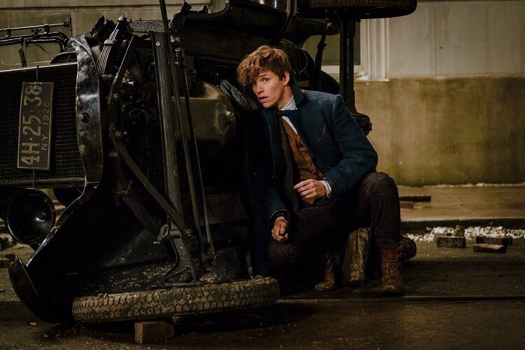 fantastic-beasts-and-where-to-find-them-filmloverss