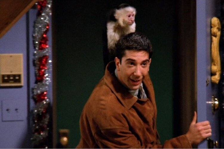 friends-1-filmloverss