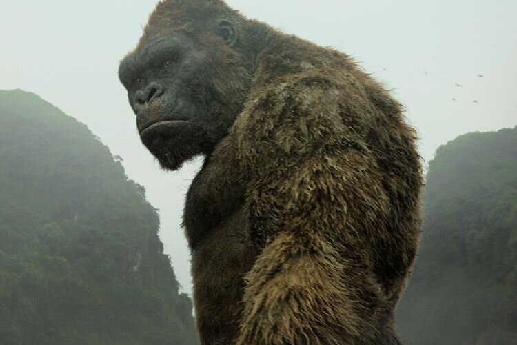 king-kong-televizyon-dizisi-filmloverss