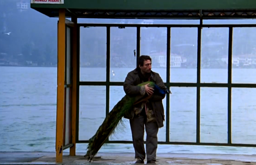 tabutta-rövaşata-filmloverss