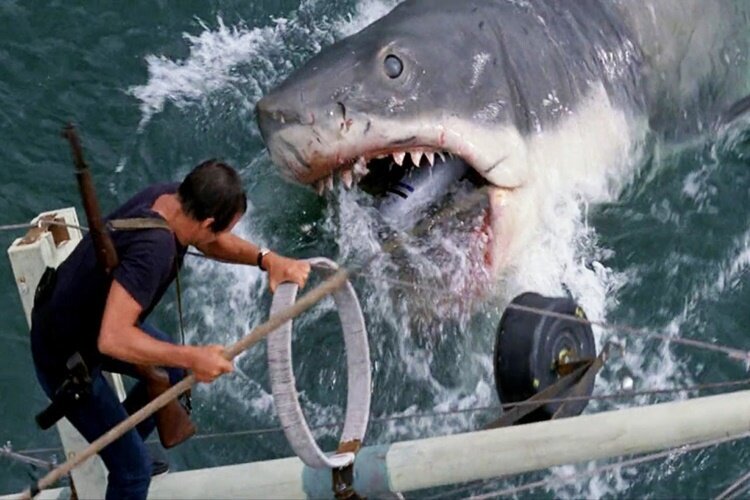 jaws-filmloverss