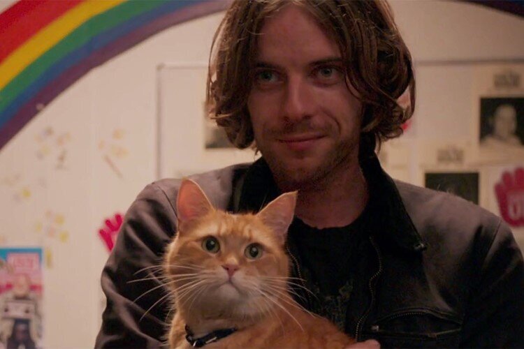 kedi-charlie-wupermann-filmloverss