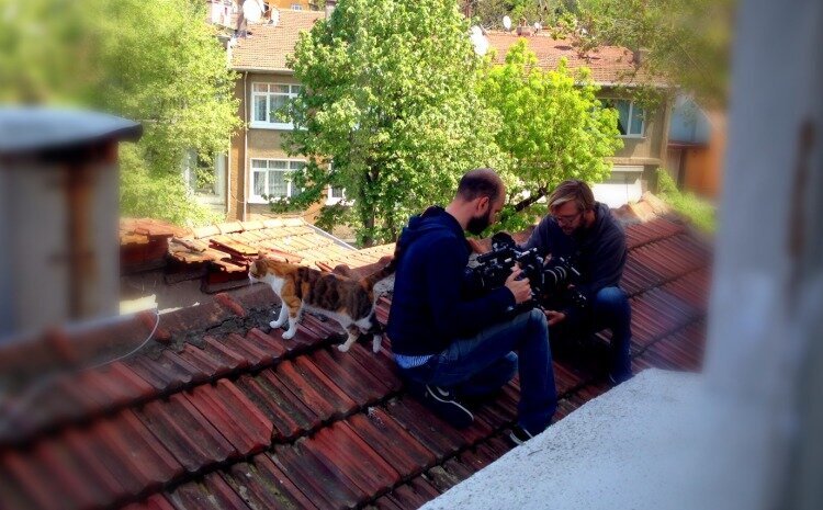 ontheroof