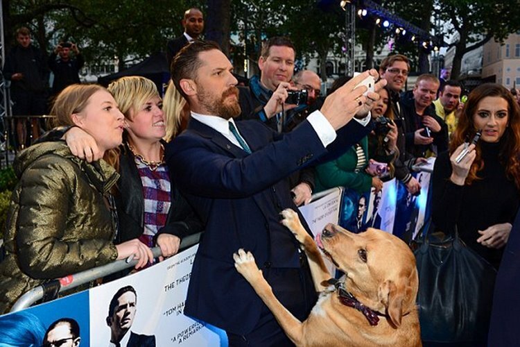 tom-hardy-filmloverss