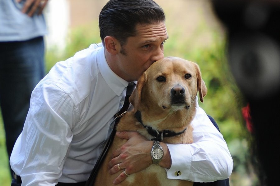 Tom Hardy Köpeği Woody İçin Göz Yaşartan Bir Mektup Yazdı!