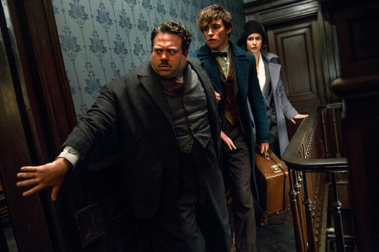 cekimleri-baslayan-fantastic-beasts-and-where-to-find-them-2-un-senaryo-detaylari-aciklandi-filmloverss
