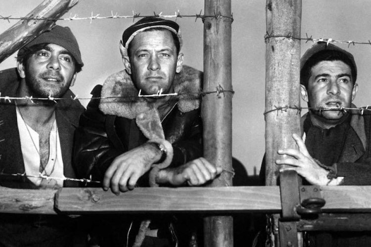 stalag-17-filmloverss