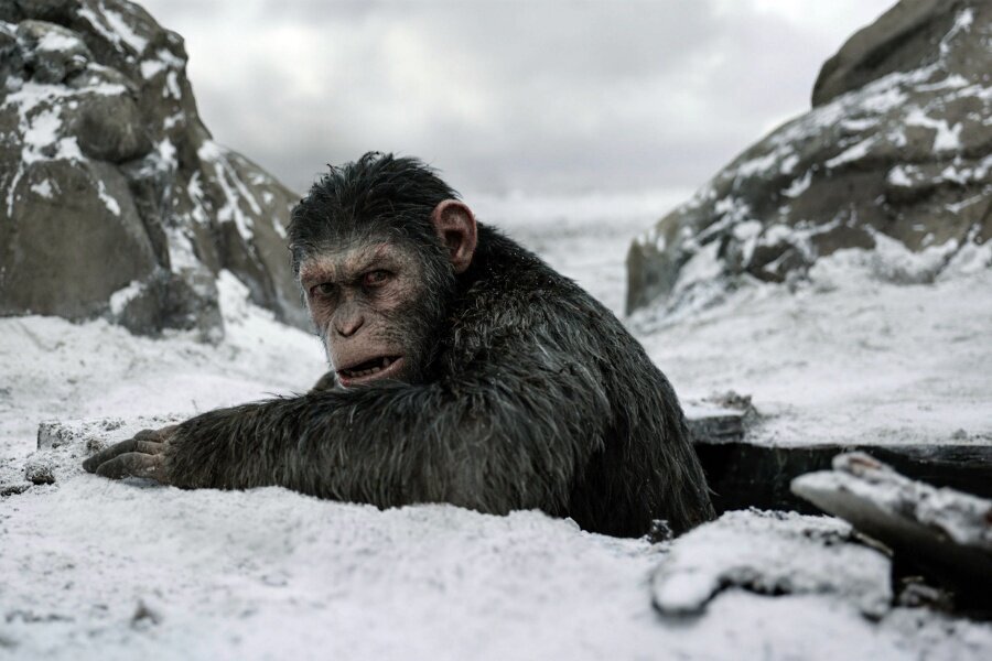 Wes Ball, Yeni Planet of the Apes Filminin Prodüksiyonunun Yakında Başlayabileceğini Açıkladı