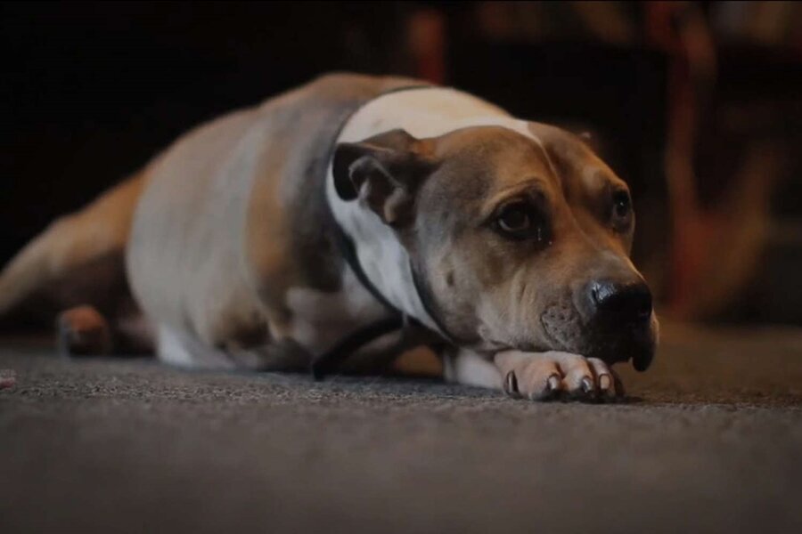 Haftanın Kısa Filmi: Last Minutes with ODEN