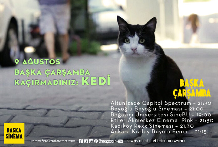 kedi-baska-carsambada-filmloverss