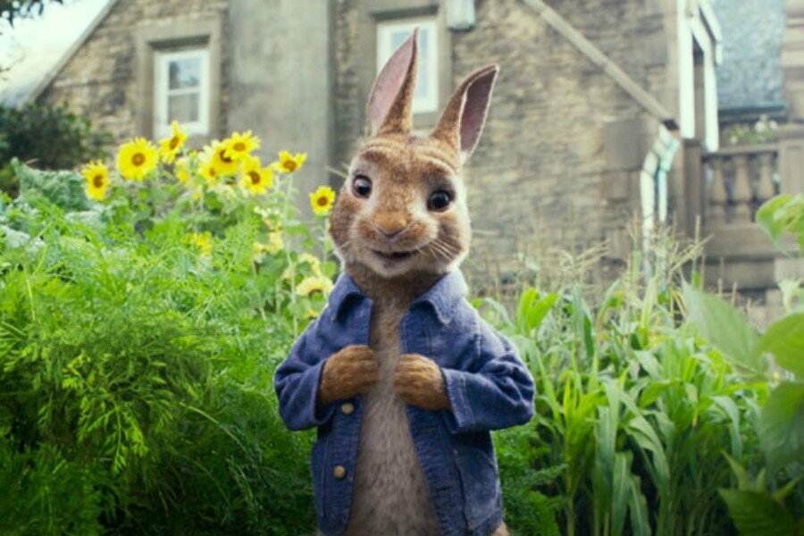 James Corden ve Domhnall Gleeson’lı Peter Rabbit’ten Dikkat Çekici Fragman Yayınlandı!