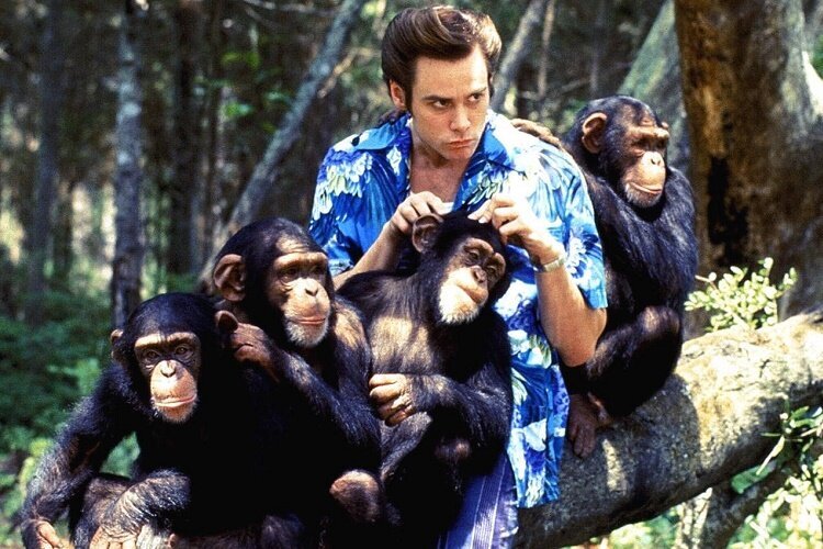 jim-carreyli-ace-ventura-serisinin-3-filmi-icin-calısmalara-baslandı-filmloverss