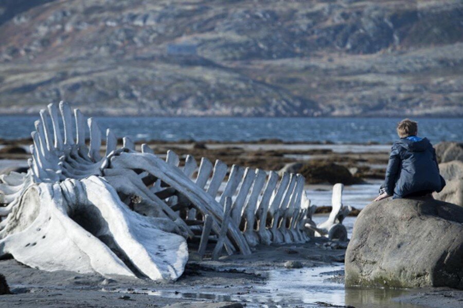 Pera Film’den Mekân, İnsan ve Aidiyet Üzerine Bir Seçki: Ev Diye Bir Yer