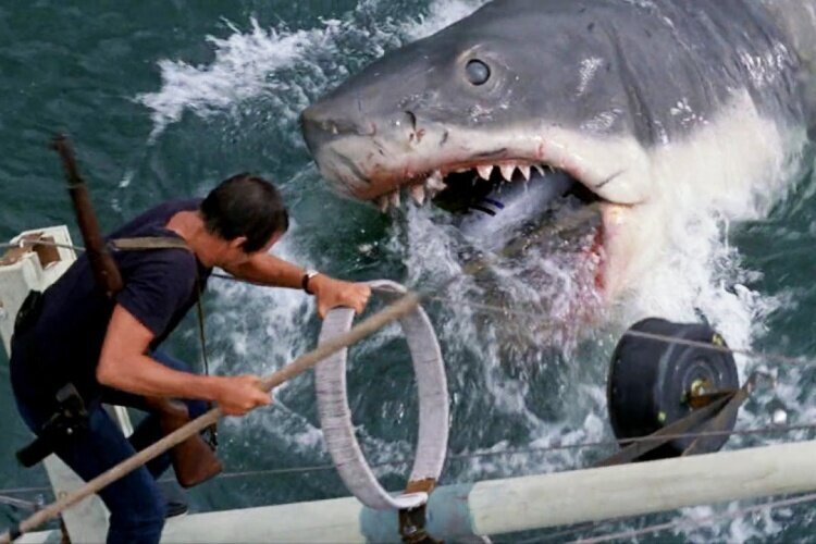 jaws-filmloverss