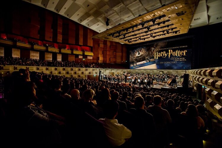 Harry Potter in concert