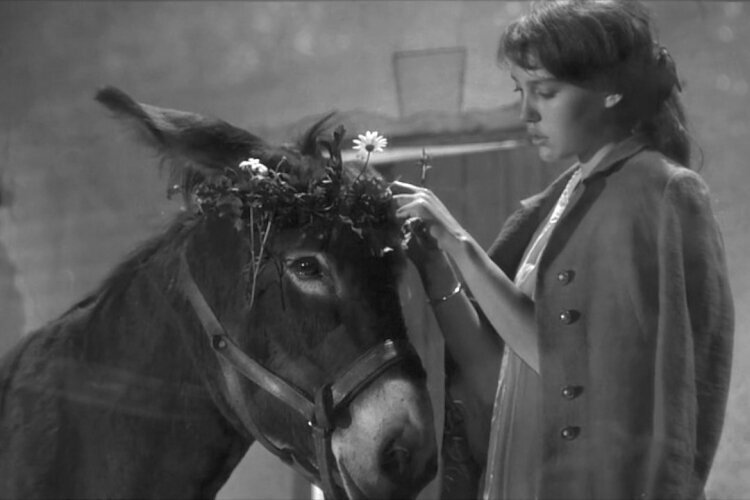 au-hasard-balthazar-FilmLoverss