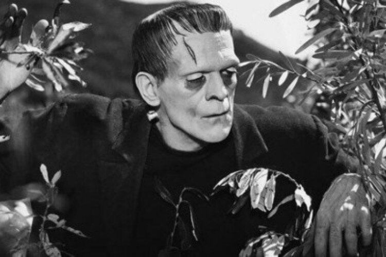 frankenstein-filmloverss