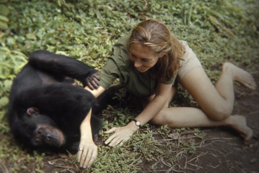 Jane, !f İstanbul’da!