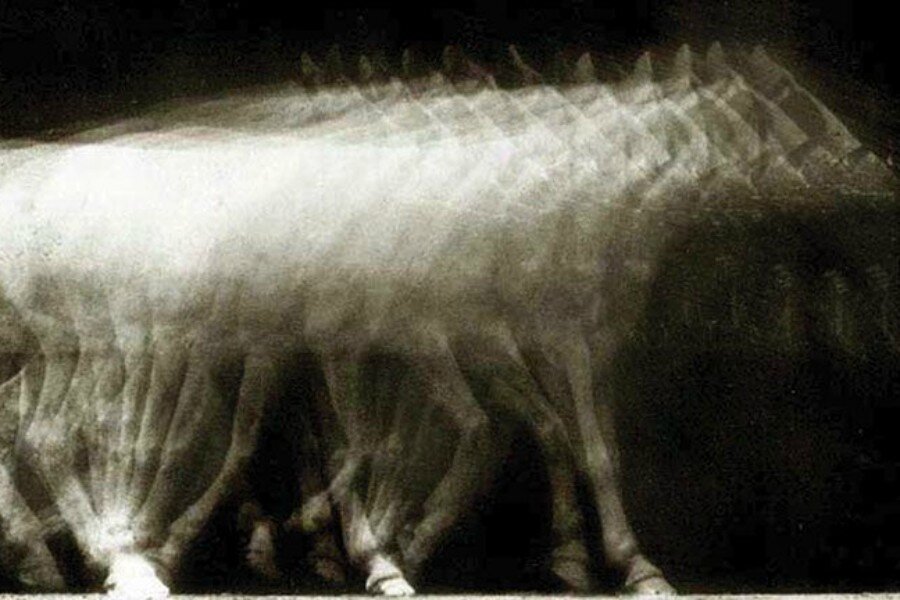 !f İstanbul’da 3D Deneyimler